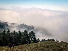 california milder temperatures dense fog
