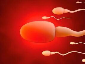 mobile phone electromagnetic radiation sperm concentration count