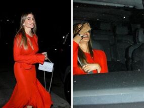 Sofia Vergara new mystery man stunning red dress divorce
