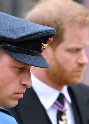 prince-william-harry-bbc-interview